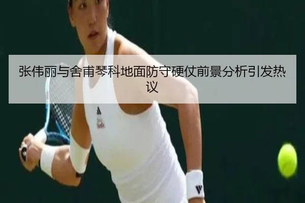 张伟丽与舍甫琴科地面防守硬仗前景分析引发热议 | kaiyun